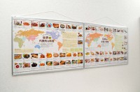 世界文食化地図　パネル　2枚連結 低解像度2