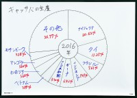 グラフ用シート５枚セット_円グラフ用シート　書き込み活用例